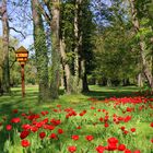 Pfühlpark im Frühling