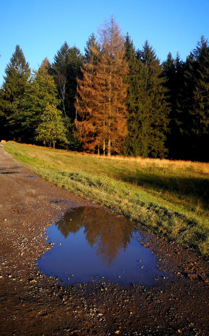 Pfütze ganz anders gesehen Wasser, Pfütze, Wege, 