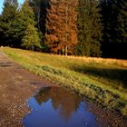 Pfütze ganz anders gesehen Wasser, Pfütze, Wege, 