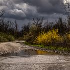 Pfütze und dunkler Himmel