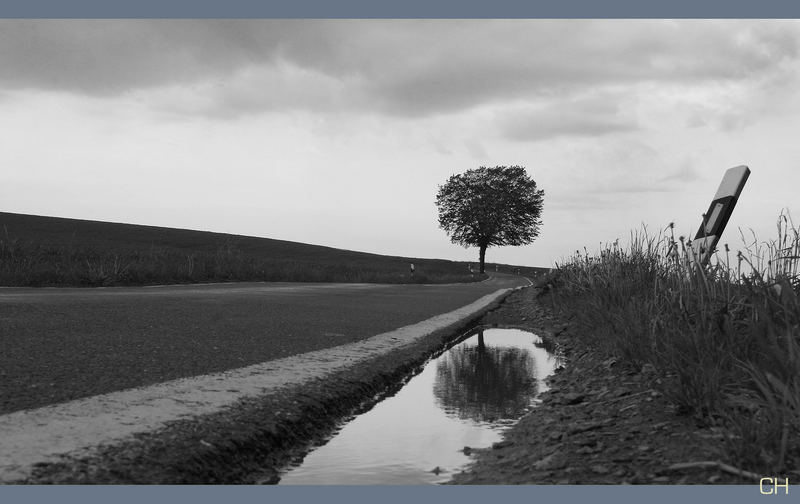 Pfützen meiner Heimat...