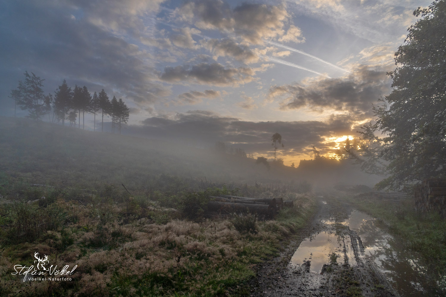 Pfützen sind schön Foto & Bild landschaft, wald, waldbilder Bilder