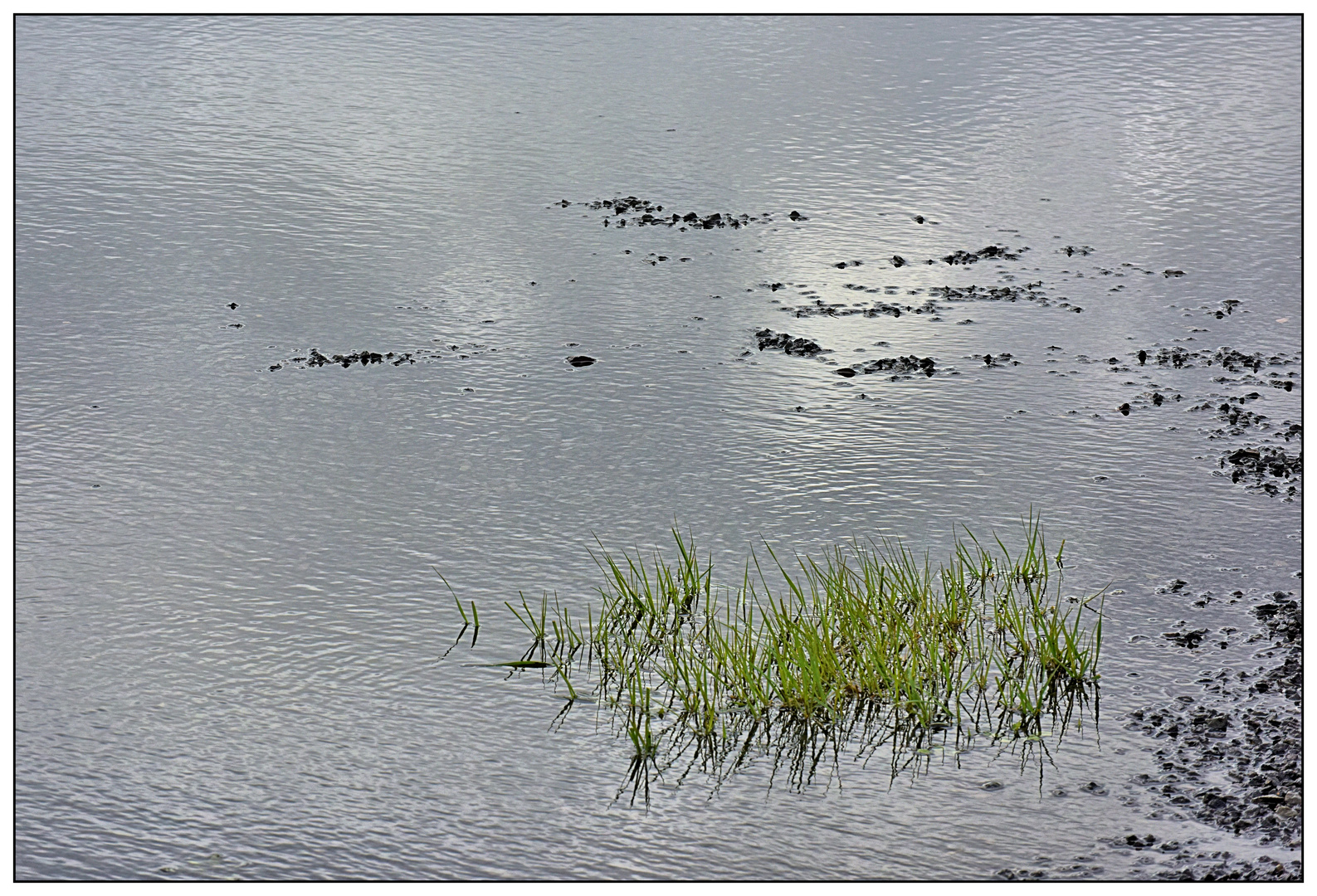 Pfützenlandschaft