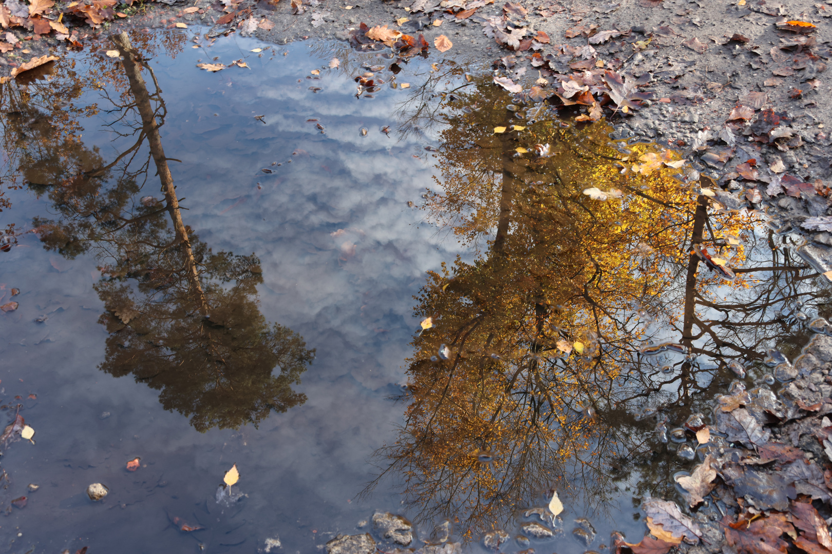 Pfützenspiegelung