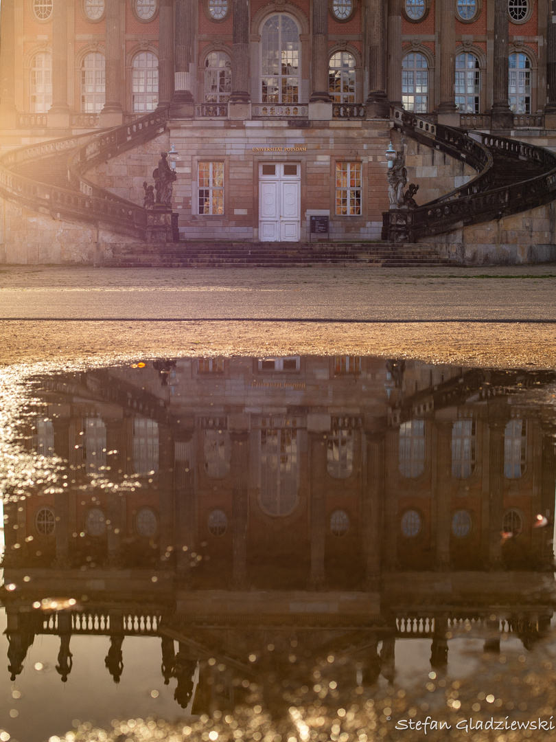 Pfützenspiegelung am neuen Palais