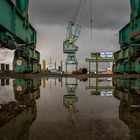 Pfützenspiegelung - Fischereihafen Bremerhaven