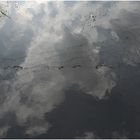 Pfützenwolken mit Stromleitung