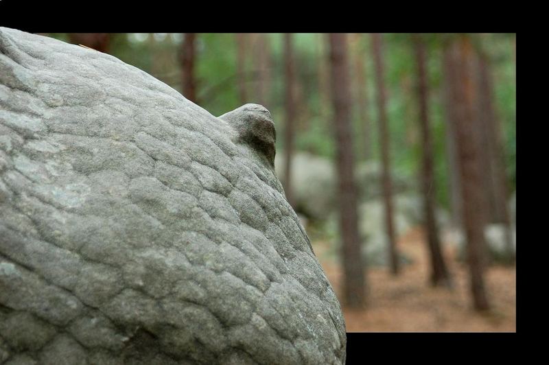 "....pfui, wer hier was anderes als ein Stein sieht" !