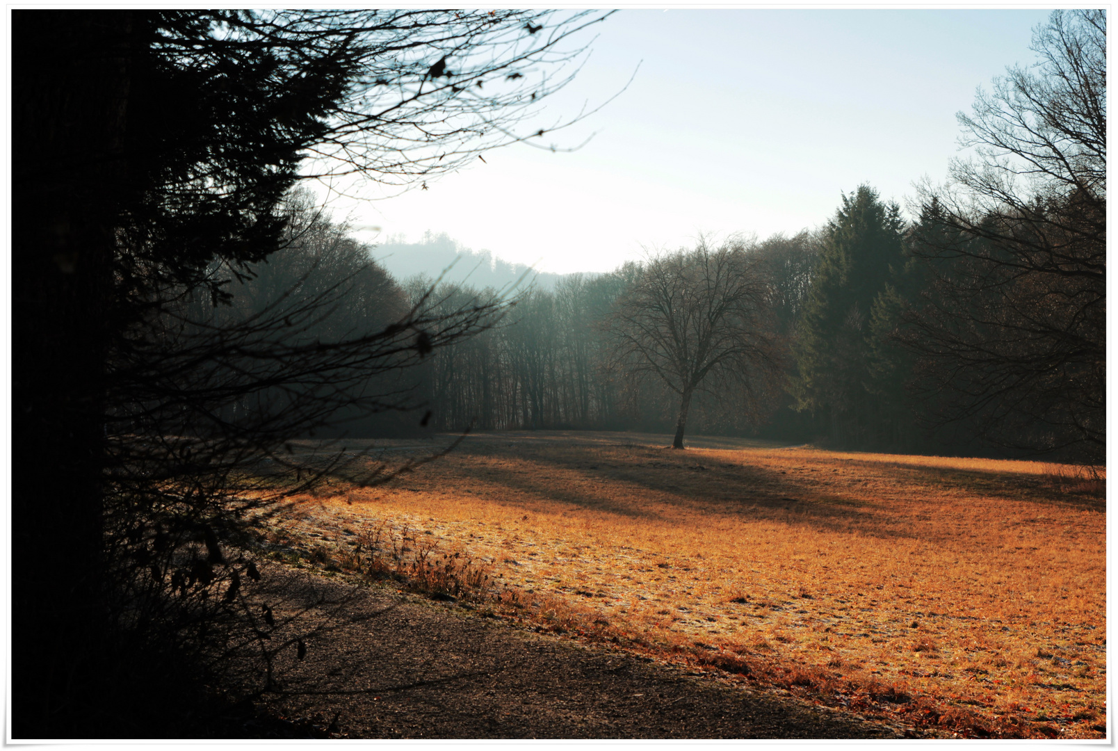 Pfullinger Berg