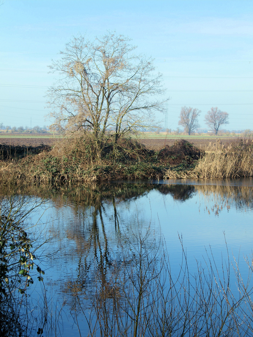 Pfungstädter Anglersee