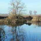 Pfungstädter Anglersee