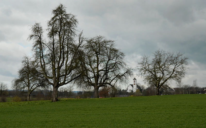 Pfyner Kirche / Thurgau