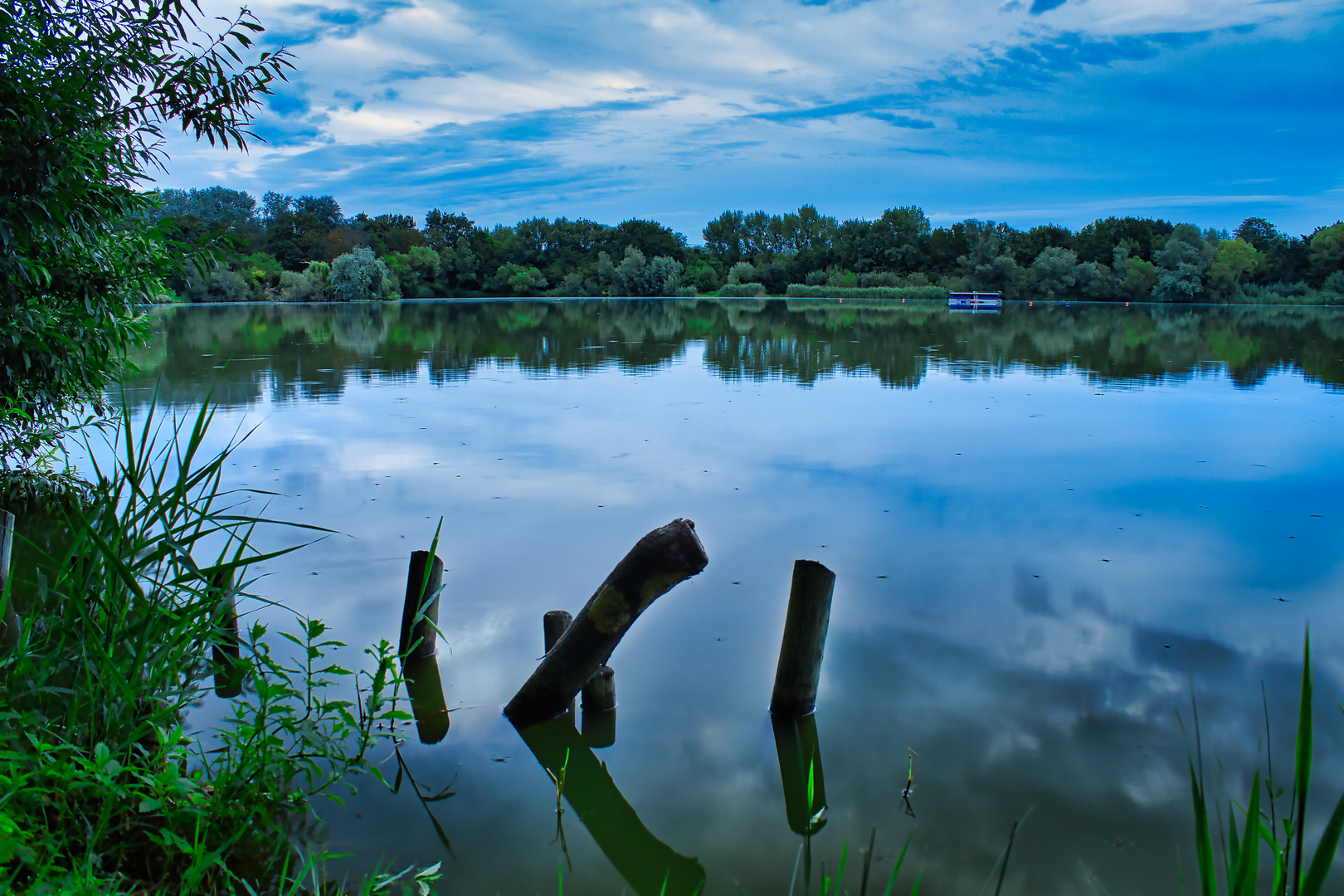 Phäle im See