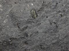 Phäno-Andesit ("Ocoite") aus Chile
