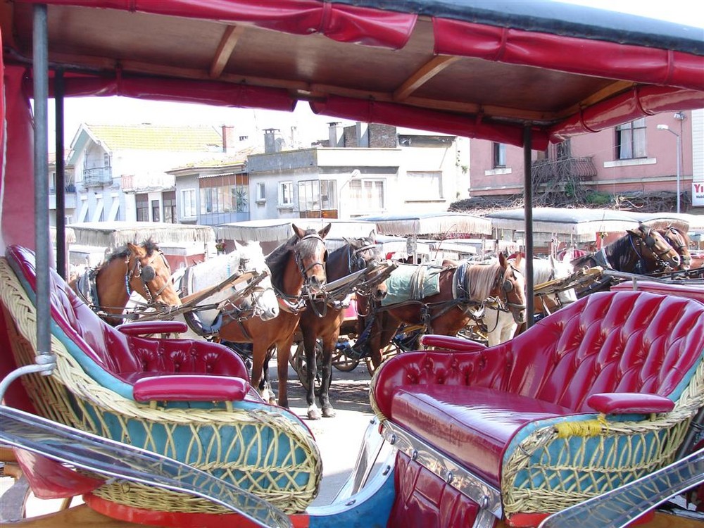 Phaeton a Istanbul