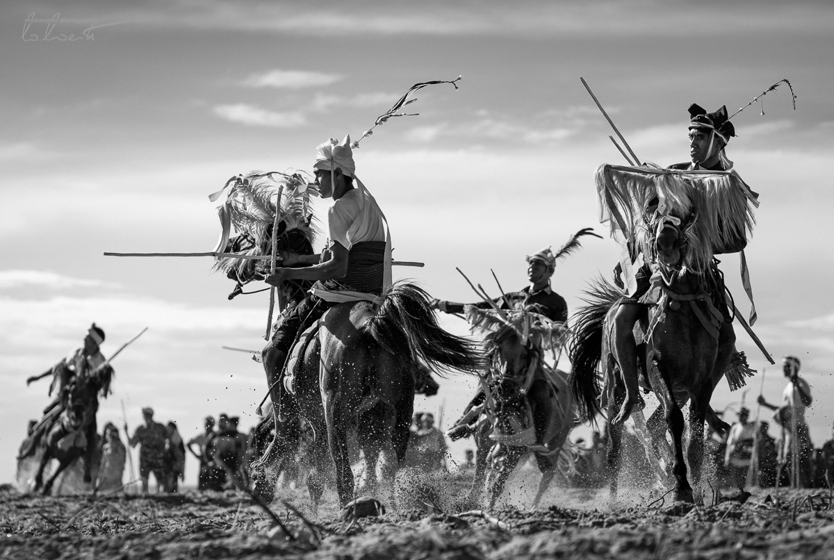  Phalanx ~ Pasola di Pantai, Sumba Barat 