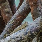 Phang Nga Bay 4