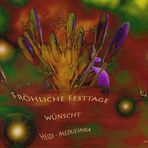 Phantastiche Weihnachtstage..