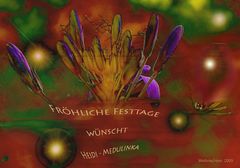 Phantastiche Weihnachtstage..