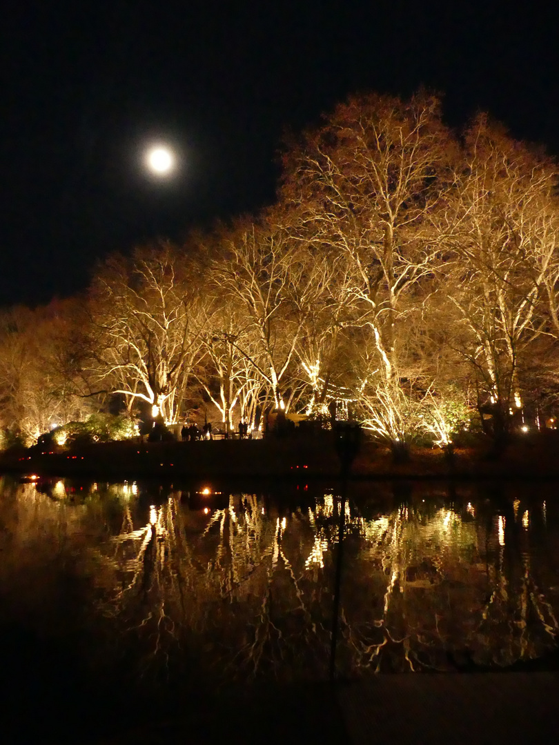 Phantastische Lichter in Dortmund