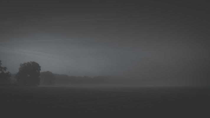 ...Phantom der Nacht