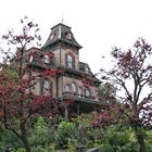 Phantom Manor