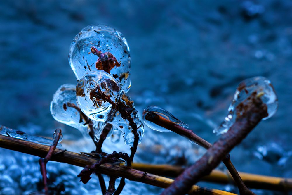 Phantom of the Ice