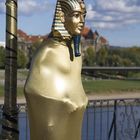 Pharao in Dresden