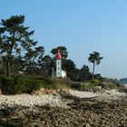 Phare dans écrin de verdure