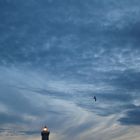 Phare de la pointe des Poulains. Belle-île-en-mer.