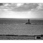 [ Phare de la Vieille ]