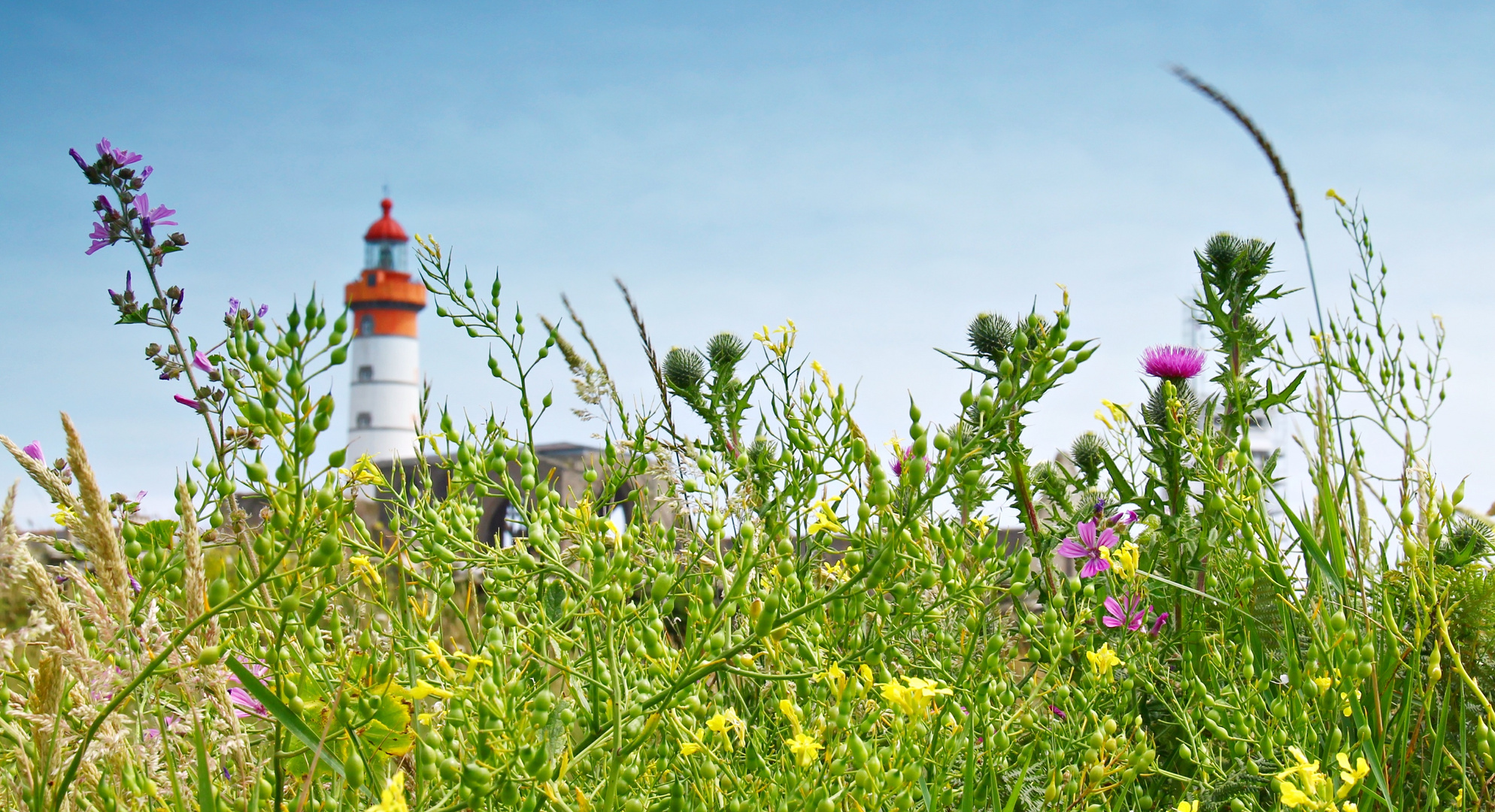 Phare de Saint- Mathieu