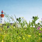 Phare de Saint- Mathieu