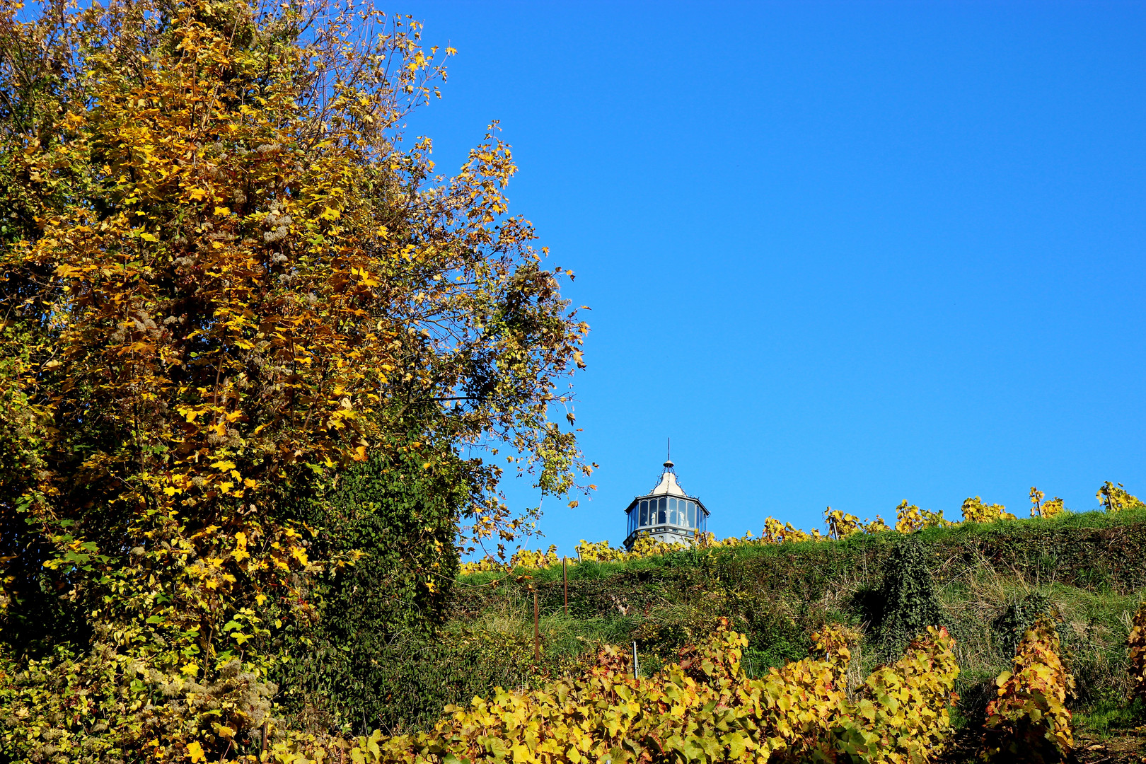 phare de Verzenay 023