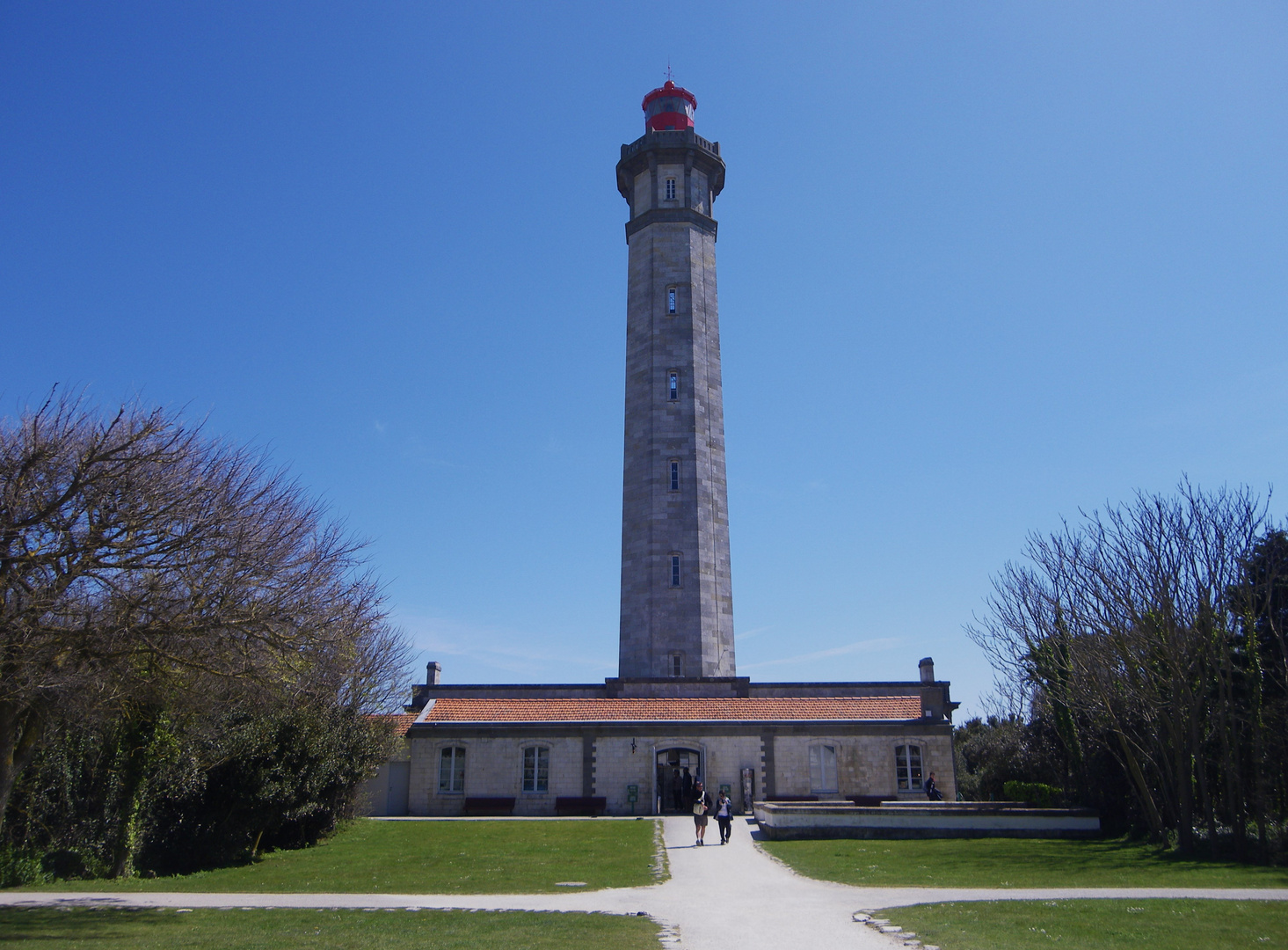 phare des baleines !