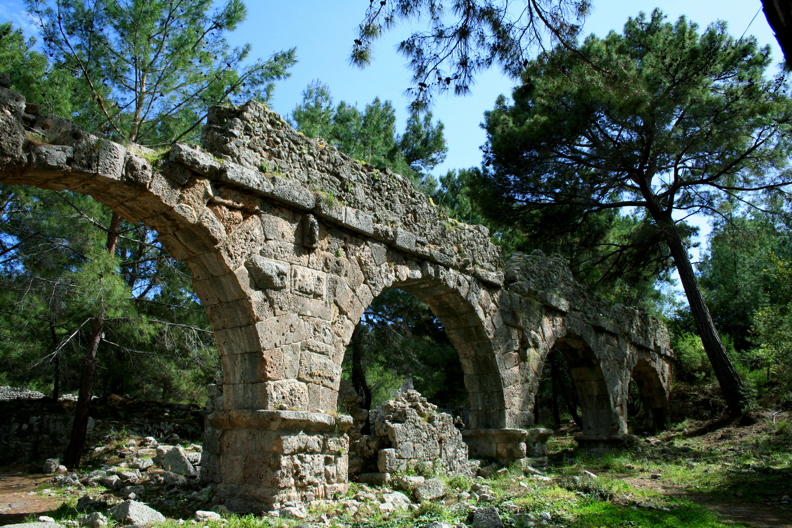 Phaselis - 2008 (2)