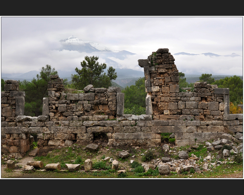 Phaselis -V-