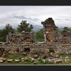 Phaselis -V-