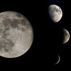 Phases of the moon