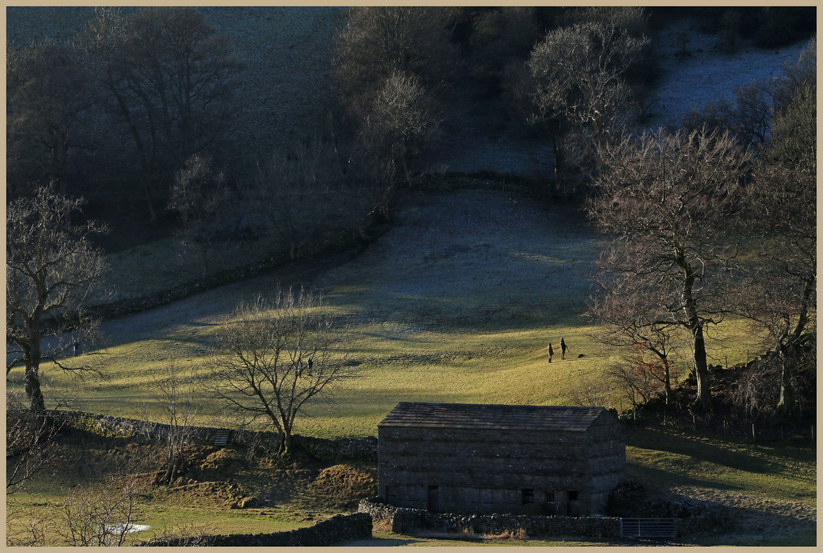 pheasant-shooters near muker 3