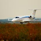 Phenom 300