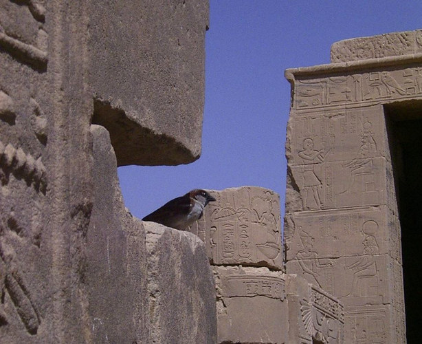 Philae-Tempel