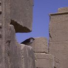 Philae-Tempel