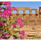 philae temple