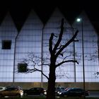 Philharmonie und ein Baum