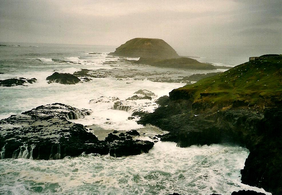 Philip Island, Australien