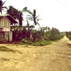 Philippinen (1984), Bohol - on the road