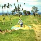 Philippinen (1984), Camiguin Island