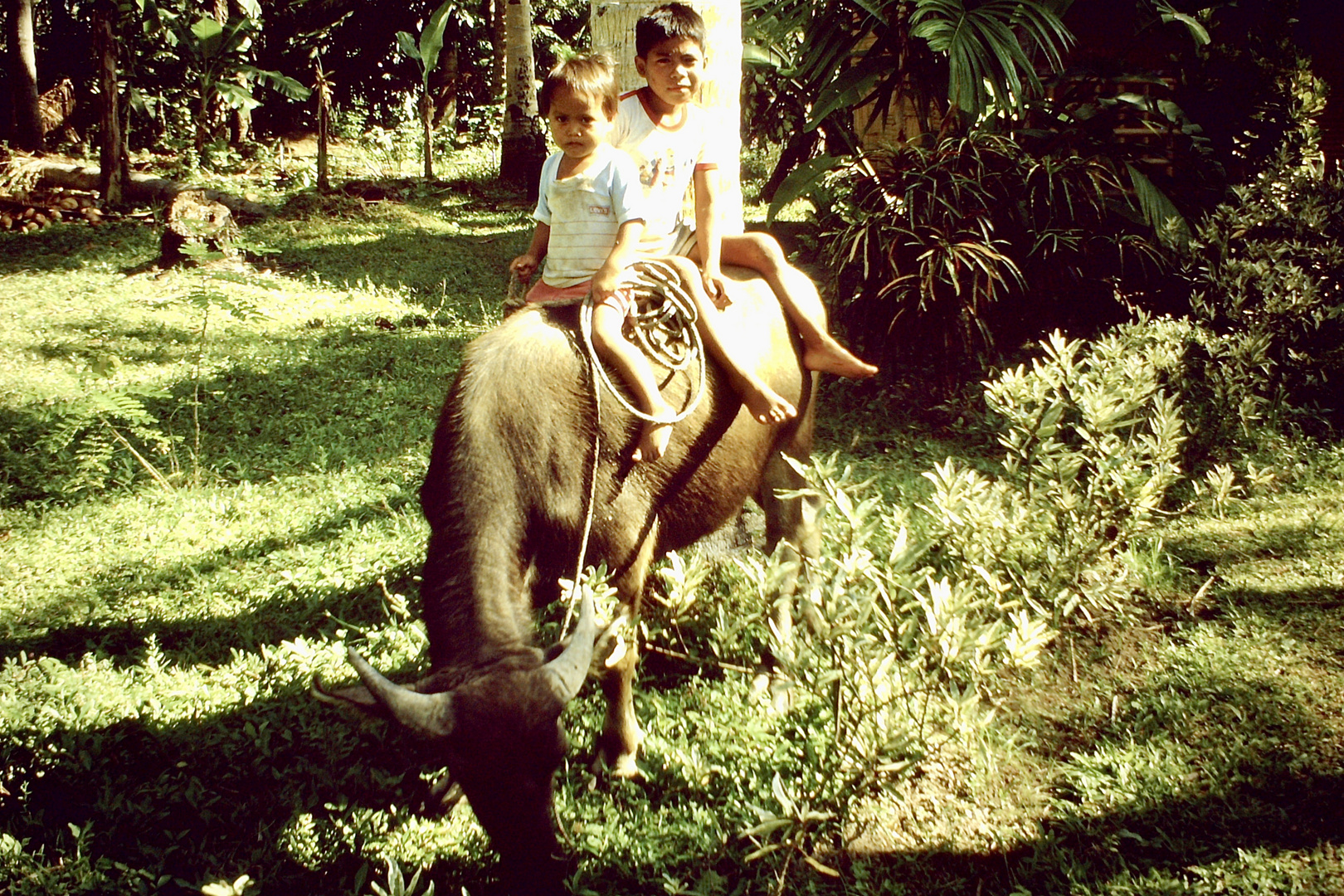 Philippinen (1984), Camiguin Island