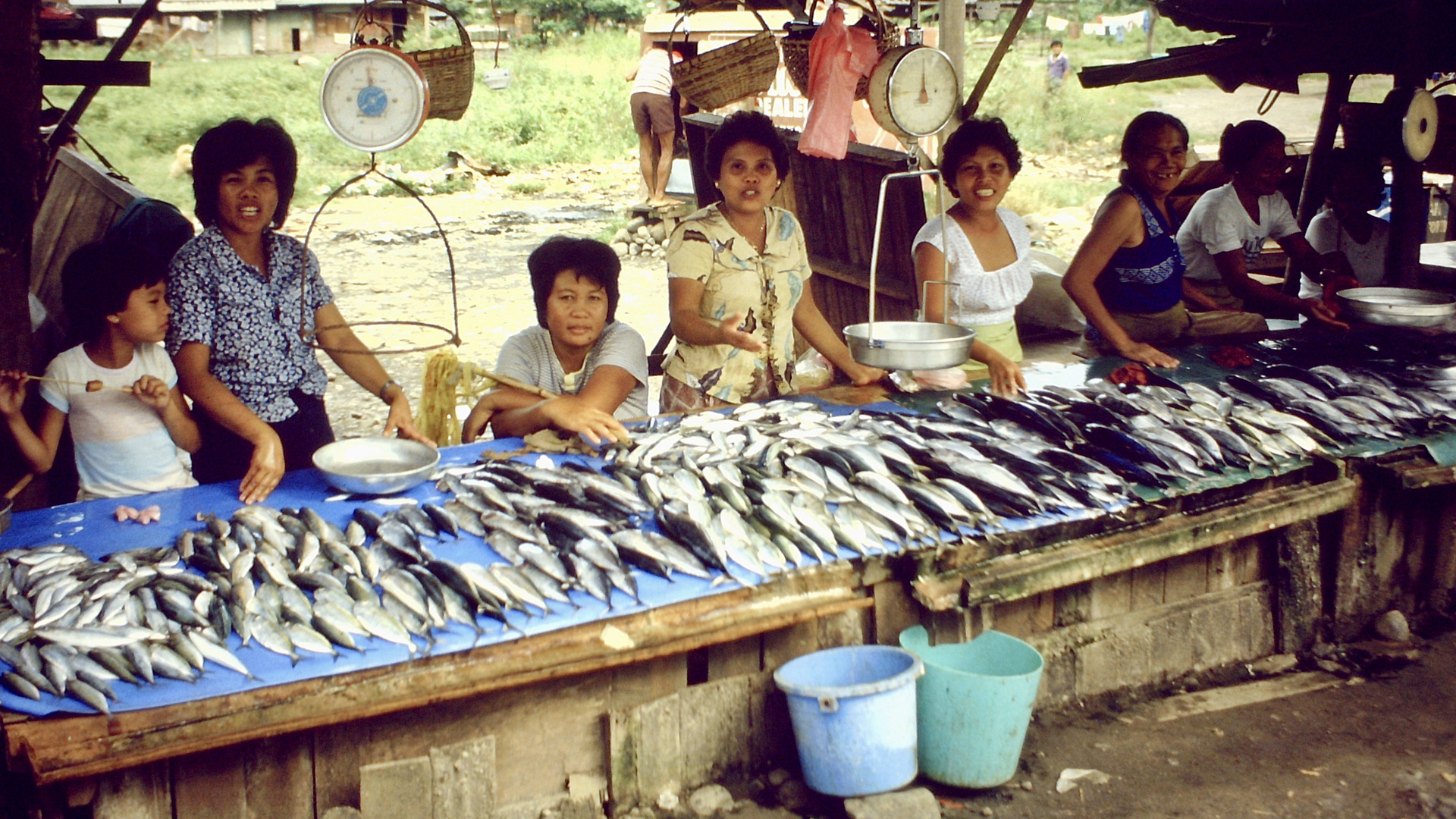 Philippinen (1984), Davao Fisch